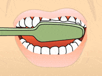 brushing diagram