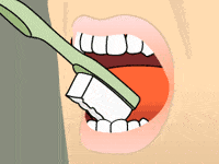 brushing diagram